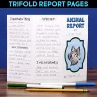 The Animal Report THUMB.001-min trifold template on gray wolves is displayed with colored pens, featuring handwritten facts, a wolf drawing, and sections titled “Important Thing,” “Reflection,” and “I was surprised by.”.