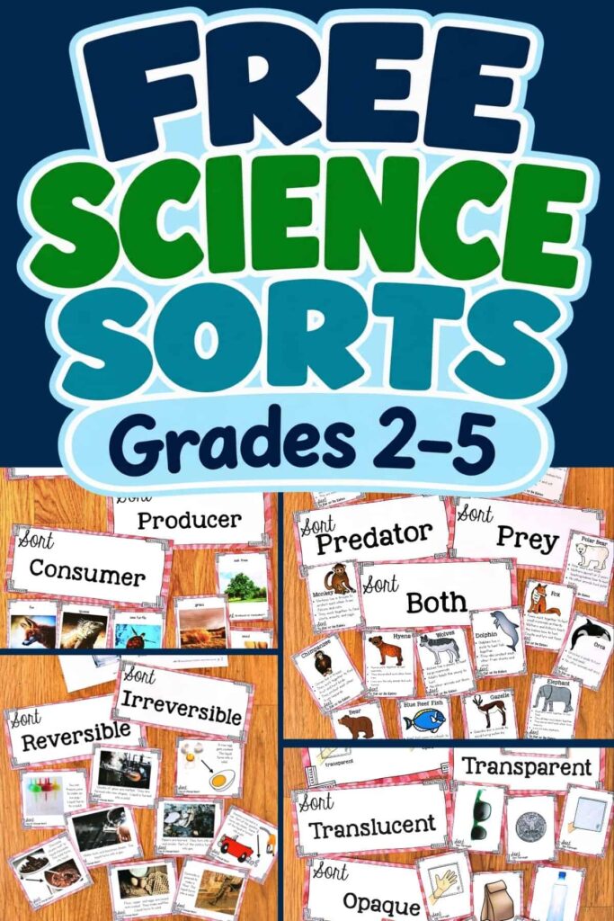 Free Science Sorting Activity for 2nd, 3rd, 4th and 5th Grades 25 Collage showing Free Science Sort Activity for Grades 2-5—includes activity cards for sorting concepts like producer/consumer and predator/prey. Perfect free science resource!.