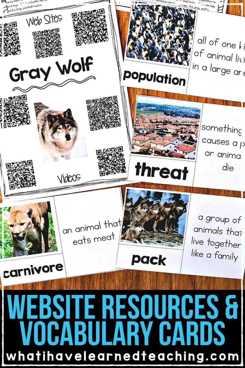 Gray wolf vocab and website-min Teach students all about the gray wolf. This informational article comes in two formats and links for additional animal research. It includes note-taking graphic organizers, comprehension activities, and mini-report pages. It is perfect to get your students started on animal research and informational writing. #expositorywriting #informationalwriting #secondgradewriting #thirdgradewriting