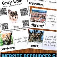 Teach students all about the gray wolf. This informational article comes in two formats and links for additional animal research. It includes note-taking graphic organizers, comprehension activities, and mini-report pages. It is perfect to get your students started on animal research and informational writing. #expositorywriting #informationalwriting #secondgradewriting #thirdgradewriting