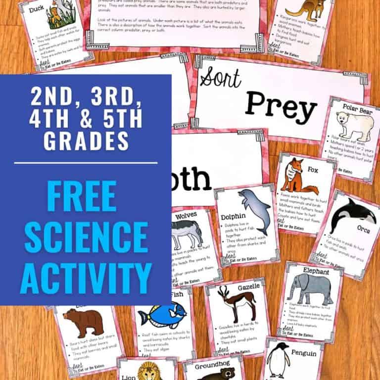 A tabletop displays animal fact cards and prey/predator sorting labels for a Free Science Sorting Activity. Overlaid text reads: 2nd, 3rd, 4th & 5th Grades. Perfect for your next science lesson!.