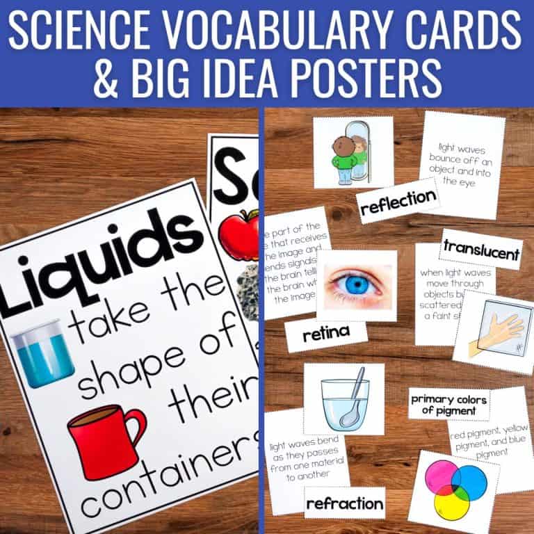 science vocabulary cards and big idea posters.