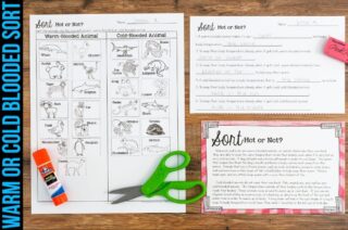 Push or Pull Sorting Cards for Third Grade Science Force and Motion