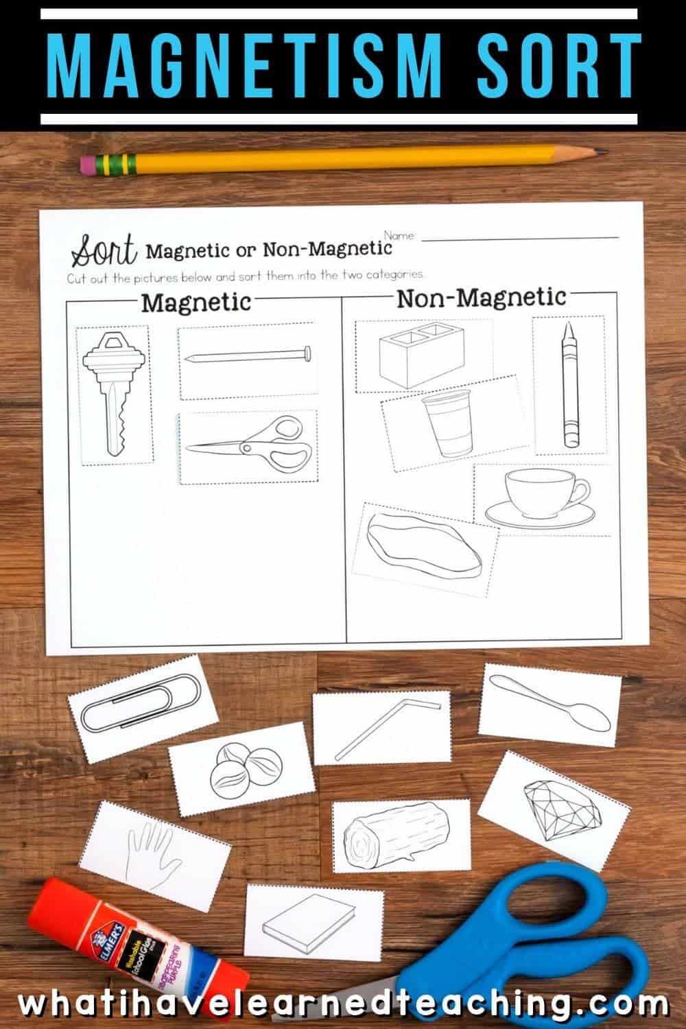 Sorting Activity for Third Grade Science