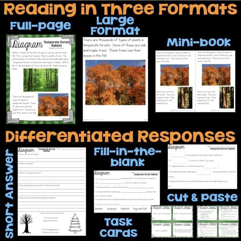 2nd Science Stations.005-min habitats example pages.