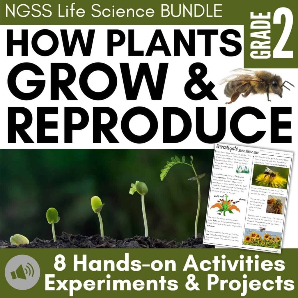 The COVER & THUMB 3288936 Plant Growth 2nd (1) is a Grade 2 resource cover titled How Plants Grow & Reproduce, showing a bee, plant stages, worksheet, and label for 8 hands-on activities, experiments, and projects.
