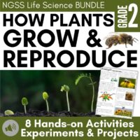 The COVER & THUMB 3288936 Plant Growth 2nd (1) is a Grade 2 resource cover titled How Plants Grow & Reproduce, showing a bee, plant stages, worksheet, and label for 8 hands-on activities, experiments, and projects.
