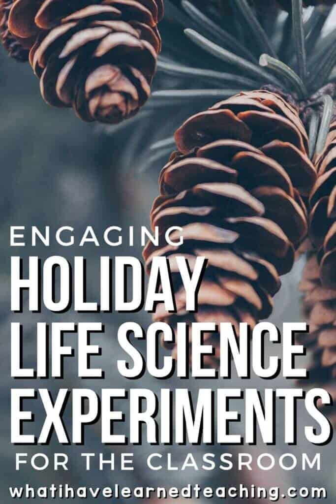 32 Holiday Science Activities and Experiments to Engage Your Elementary Students 8 Let the holiday cheer begin in your elementary classroom! We’ve curated 30 holly, jolly Christmas and holiday science activities that are perfect for the weeks leading up to your holiday break! These physical science, earth science, and life science experiments will engage students and teach them a little bit about the world around them! #holidayscienceexperiments #christmasscience #candycanescience