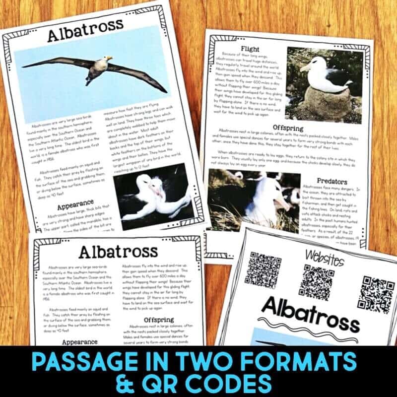IMAGES Albatross1-min albatross reading passages.