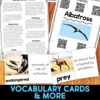 albatross pages.