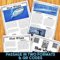 blue whale reading passages.