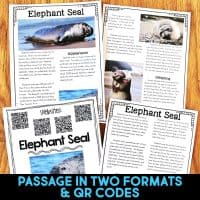 elephant seal reading passages.