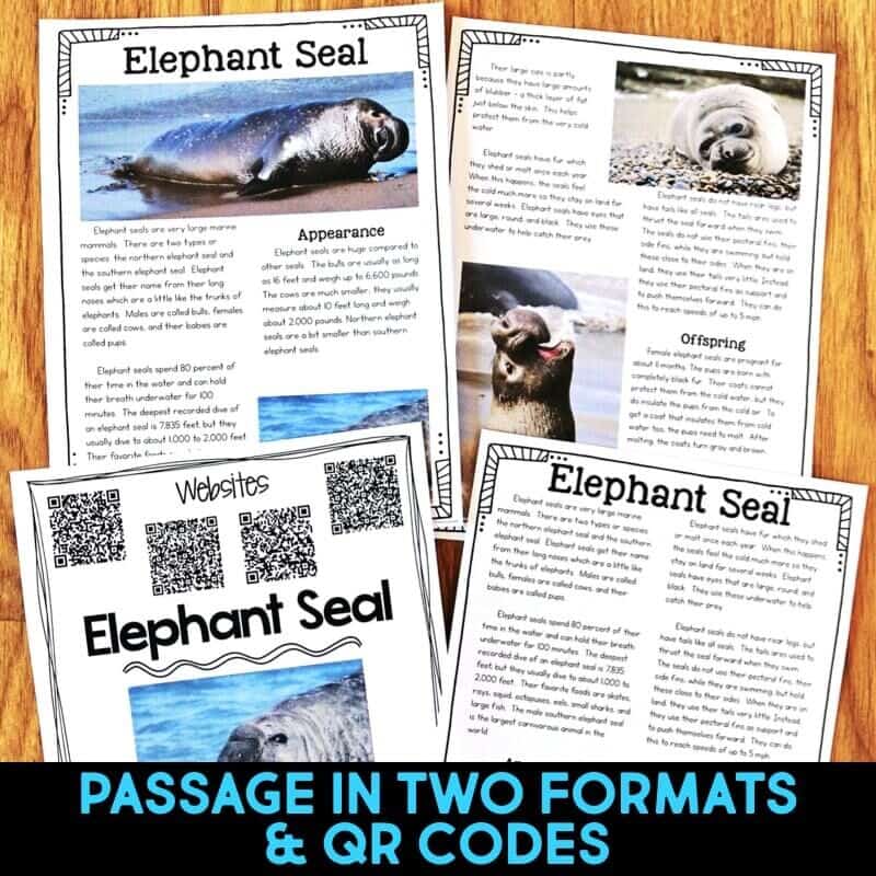 IMAGES Elephant Seal1-min elephant seal reading passages.