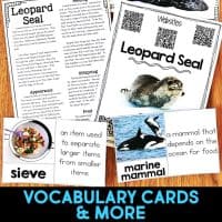 leopard seal pages.