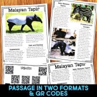 malayan tapir passages.