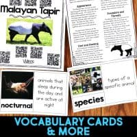 malayan tapir pages.