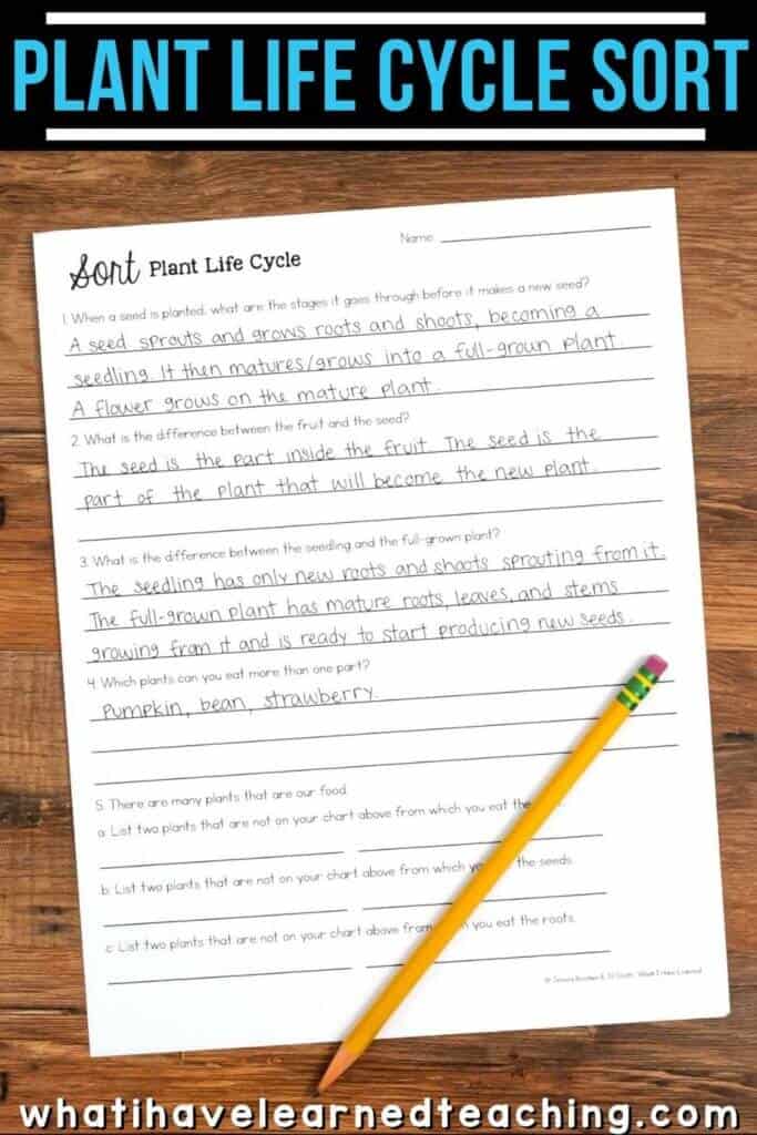 Science Sort Stations for third-grade classrooms that use the NGSS. These Next Generation Science Stations engage students in hands-on sorting activities. Each sort includes reading passages, black and white sort, colored table group sort, and comprehension questions in five formats. #ngss #sciencestations #thirdgradescience