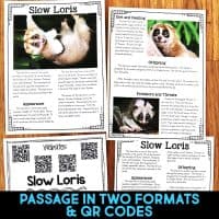 slow loris passages.