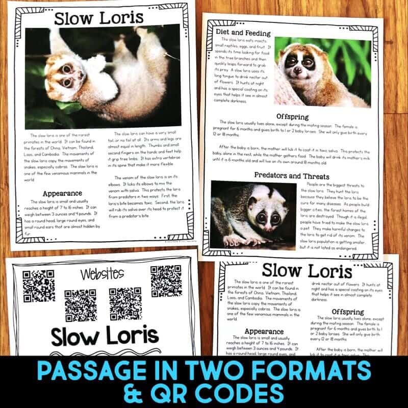 Slow Loris 2 slow loris passages.