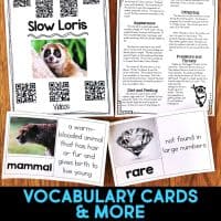 slow loris pages.