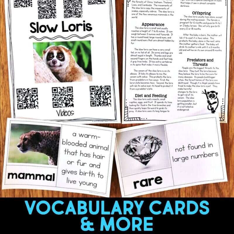 Slow Loris 4 slow loris pages.