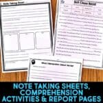 Bat Informational Article and Comprehension Activities