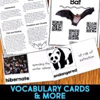 bat vocabulary cards.