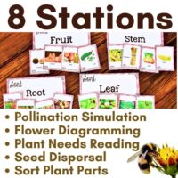 The "plants grow 8 stations" educational display features cards labeled Fruit, Stem, Root, and Leaf with images and activities. Includes stations like Pollination Simulation and Seed Dispersal, with a bee highlighting pollinators' role in plant reproduction.