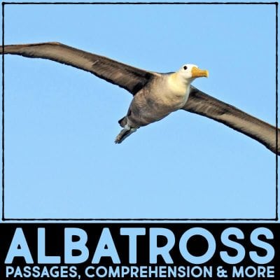 albatross cover