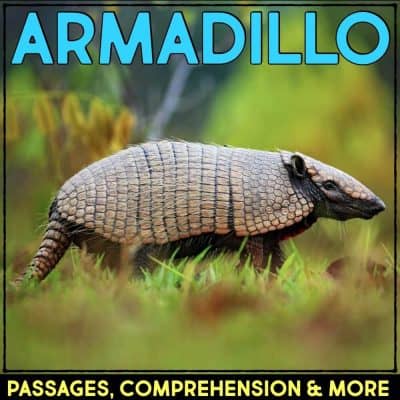 armadillo cover