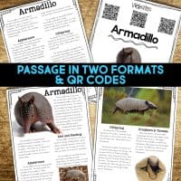 armadillo reading passages