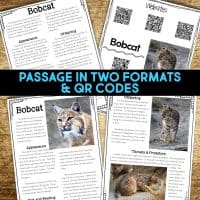 bobcat reading passages