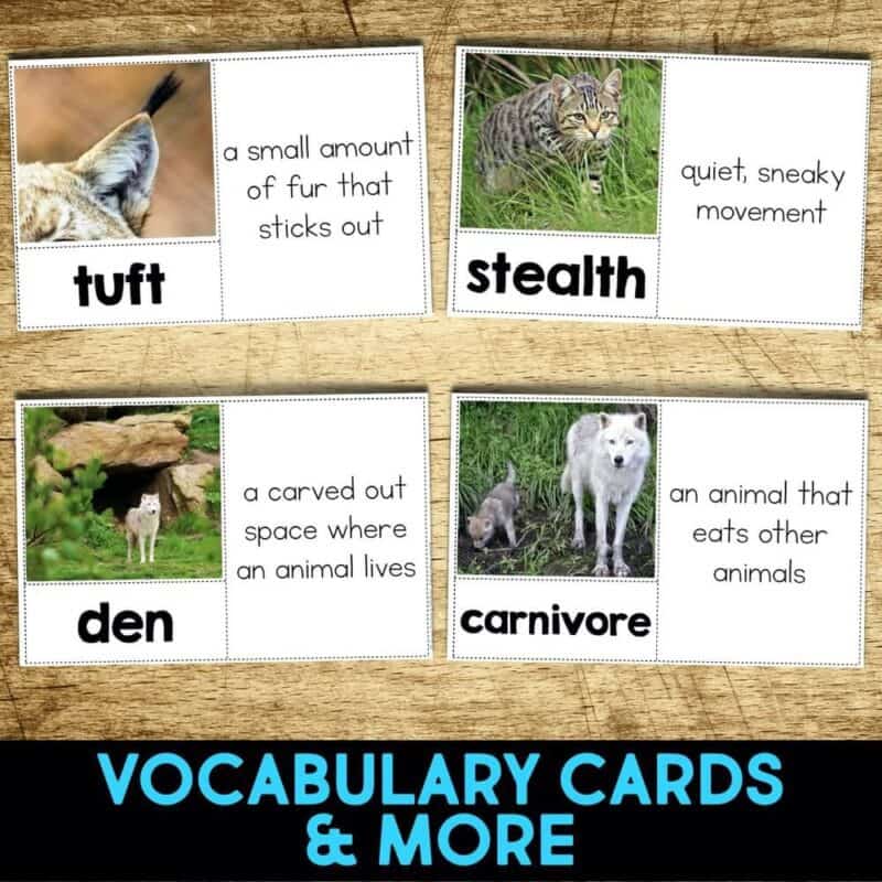 Bobcat4 bobcat vocabulary cards