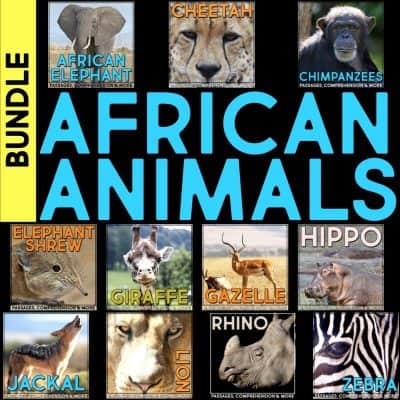 african animals bundle cover