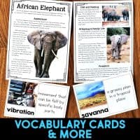 african elephant vocabulary cards