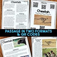 cheetah reading passages