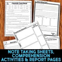 cheetah worksheets