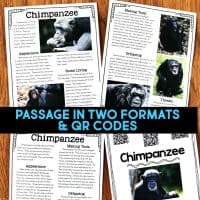 chimpanzee reading passages