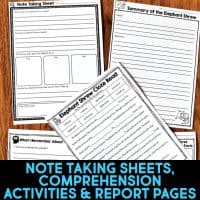 elephant shrew worksheets