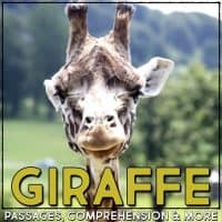 giraffe covers