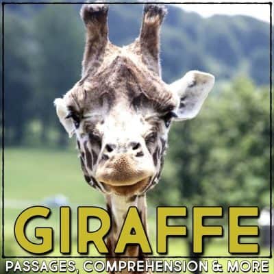 giraffe covers