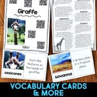 giraffe vocabulary cards