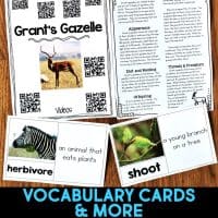 grant's gazelle vocabulary cards