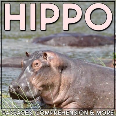 hippopotamus cover