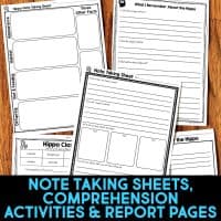 hippopotamus worksheet