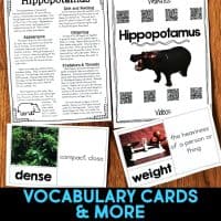 hippopotamus vocabulary cards