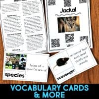 jackal vocabulary cards