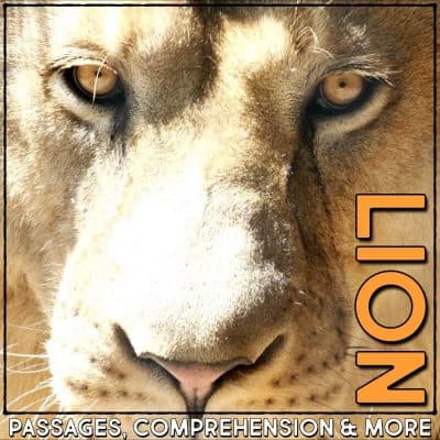 lion cover