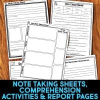 lion worksheets