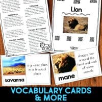 lion vocabulary cards